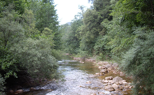 Can Carreras · Turismo Rural · Alt Empordà · Actividades · Pesca Río